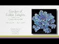 Lunaria gallery   garden of edible delights    taste  see