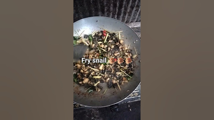Fry snail 🐌🐌 🐌 🐌