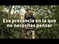 ESA PRESENCIA EN LA QUE NO NECESITAS PENSAR - Eckhart Tolle