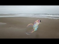 Nye beach giant bubble, July 31st 2018