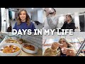 HOME VLOG: costco shop with us &amp; haul, meal prepping, cleaning, amazon finds &amp; pr unboxing 😎