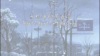 Zhang Miaoge 张妙格 - What I Want Isn't the Snow 我期待的不是雪 [Chn/Pinyin/Eng Lyrics (singable & literal)]