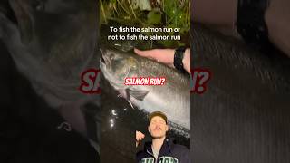 LEAVE THE SALMON ALONE? #salmonrun #salmon #fishing #kingsalmon #cohosalmon