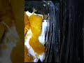 مشروع مربح من البيت قشطوطه تريند٢٠٢٣