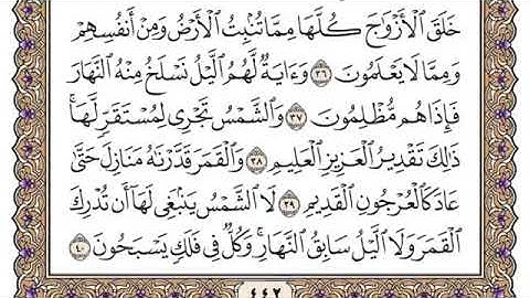 سورة يس مكتوبة   محمد أيوب