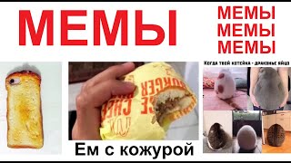 Мемы от Макса Максимова. Ем бургер с кожурой