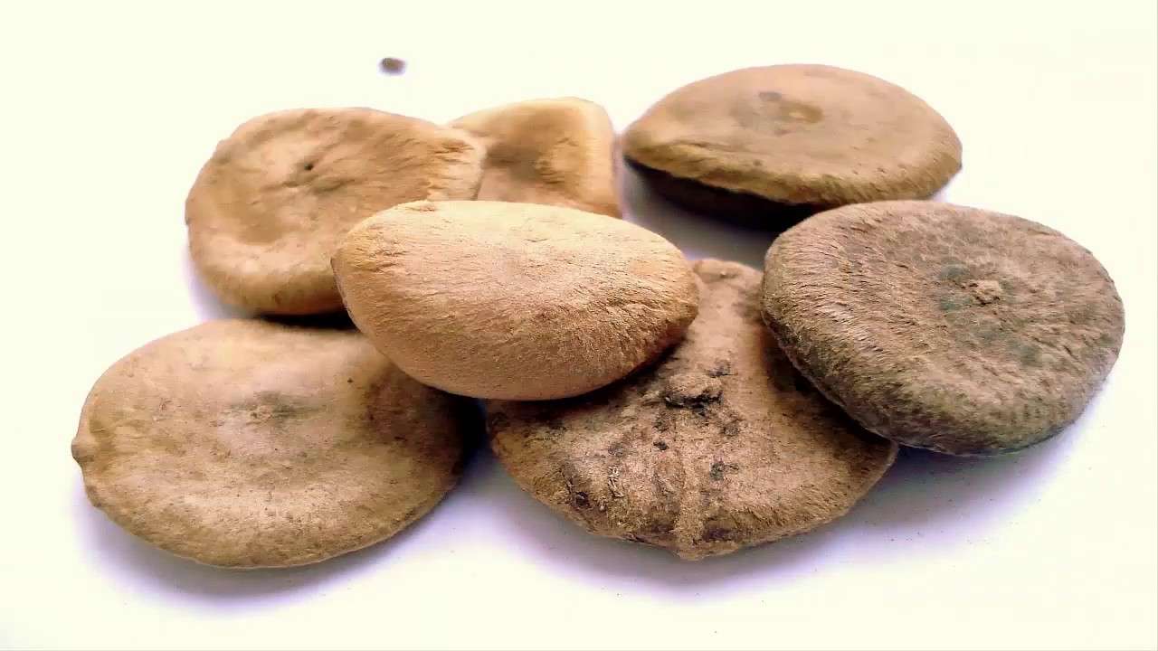 Kuchla Mudabbar Part 3 In Urdu Youtube