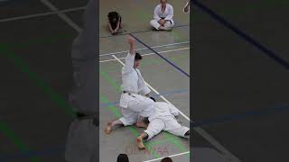 André Bertel | Karate | Leg Sweep