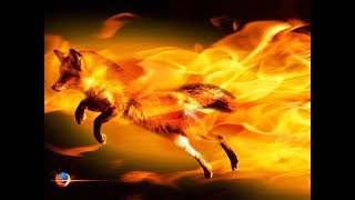 Старый Лис приветствует вас в программе :Conan Exiles:крафт,стройка,Разведка.Лёгкий режим.