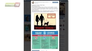 В Апатитах в центре города разбросана отрава для собак! В Апатитах в центре города разбросана отрава для собак!