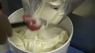 How to Make Creamy Vegan Hand Dipped Ice Cream  Part 2