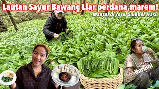 AKHIRNYA PANEN LAUTAN SAYUR WILD GARLIC LIAR || MANTUL DI MAKAN SAMA SAMBEL TERASI IKAN ASIN