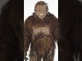 Is Bigfoot Real? Uncovering the Mystery!                           #Bigfoot #Cryptozoology #Mystery