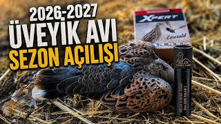 Dove Hunting with Browning Maxus-2 🌻🕊️ | 2026-2027 Season Opening | Dove Hunting | Belek Chokes T...