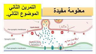 الرد المناعي الخلوي = معلومة مفيدة حول مقاومة الخلايا السرطانية للبرفورين