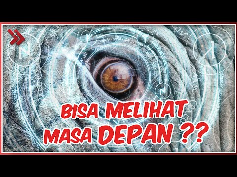 Video: Meramalkan Masa Depan - Bagaimana Ini Bisa Terjadi? - Pandangan Alternatif