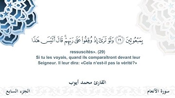 سورة الأنعام - القارئ محمد أيوب | مشروع #100ختمة