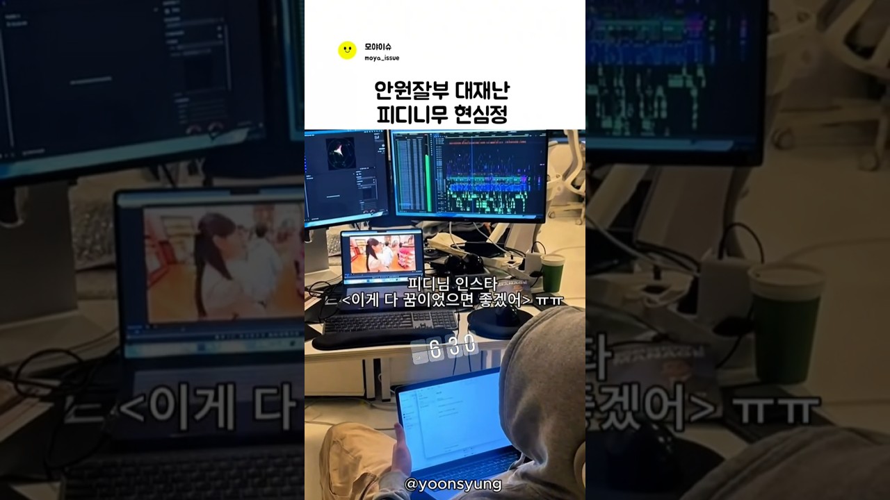 안원잘부 대재난 피디니무 현심정 ㅠ ㅣ리센느