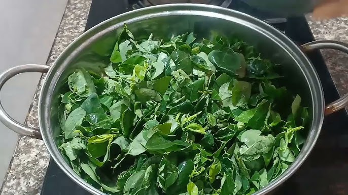 Cách Làm Nước Xoài Ngâm Đường Giải Khát Tại Nhà – Bí Quyết Thơm Ngon Và Giòn Mát