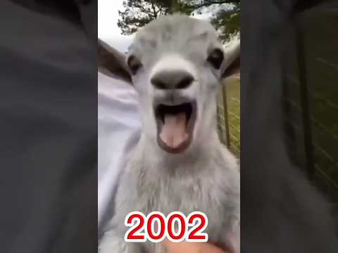 Fanny Bakra Soret Video Cut Fanny Cat Youtube Bayeral Shortvideo 2025 In India