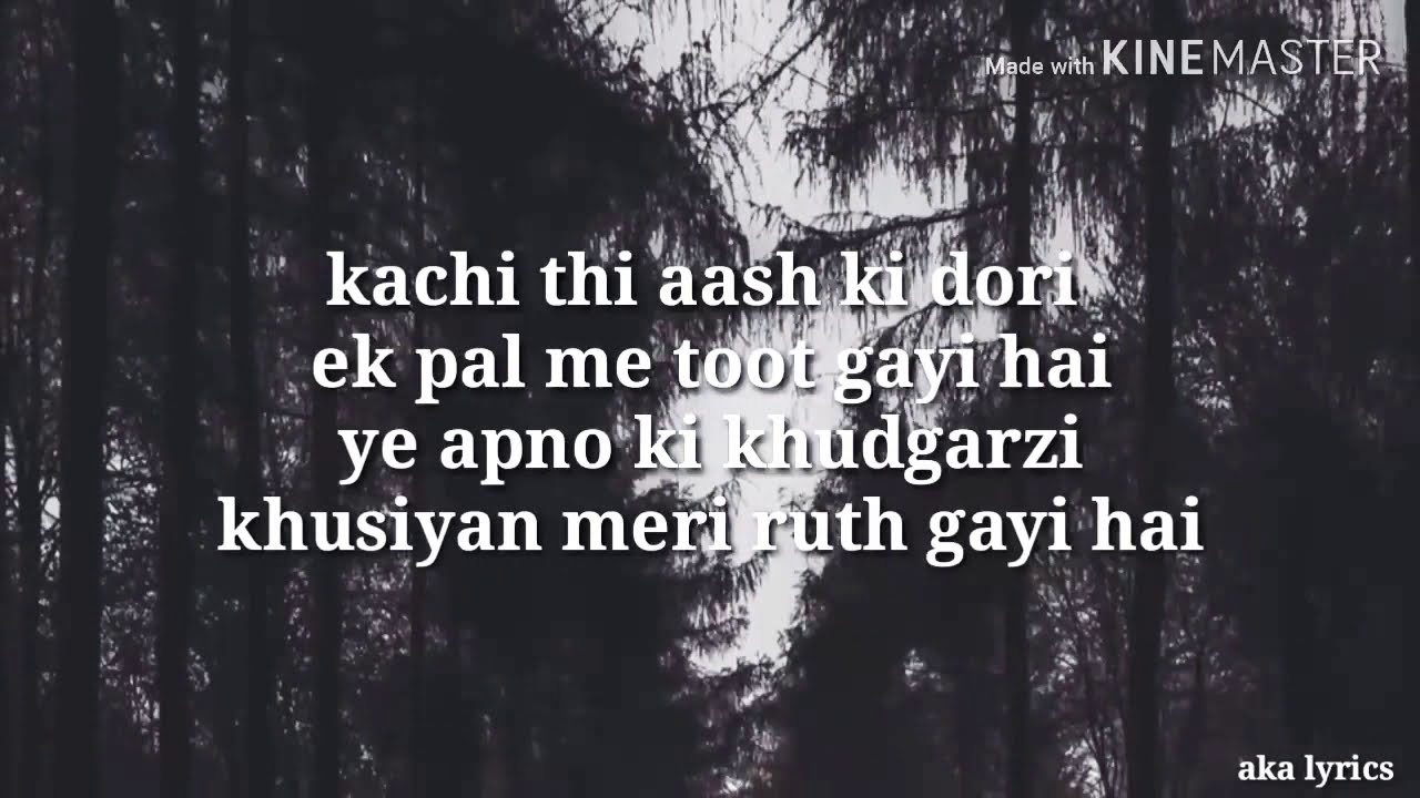 Koi Puche mere Dil se full song l  lyrics video sed love song