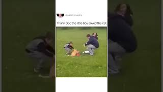 Someone Save The Cat Bottle Rocket