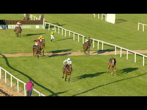 Jockey throws away his whip after dramatic exit at the final fence