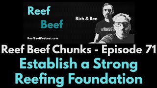 Establish a Strong Reefing Foundation - Reef Beef Chunks