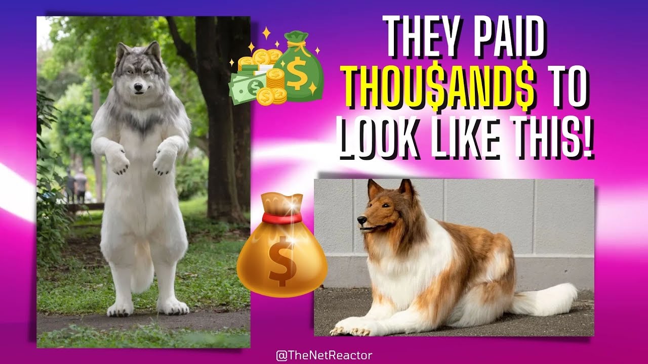 Japanese Men (Toru & Toco) Spend Thousands on Animal Costumes Wolf & Dog YouTube