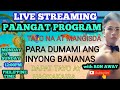 🔴LIVE| PAANGAT PROGRAM|WE GROW AS ONE| MORE BANANAS #RON