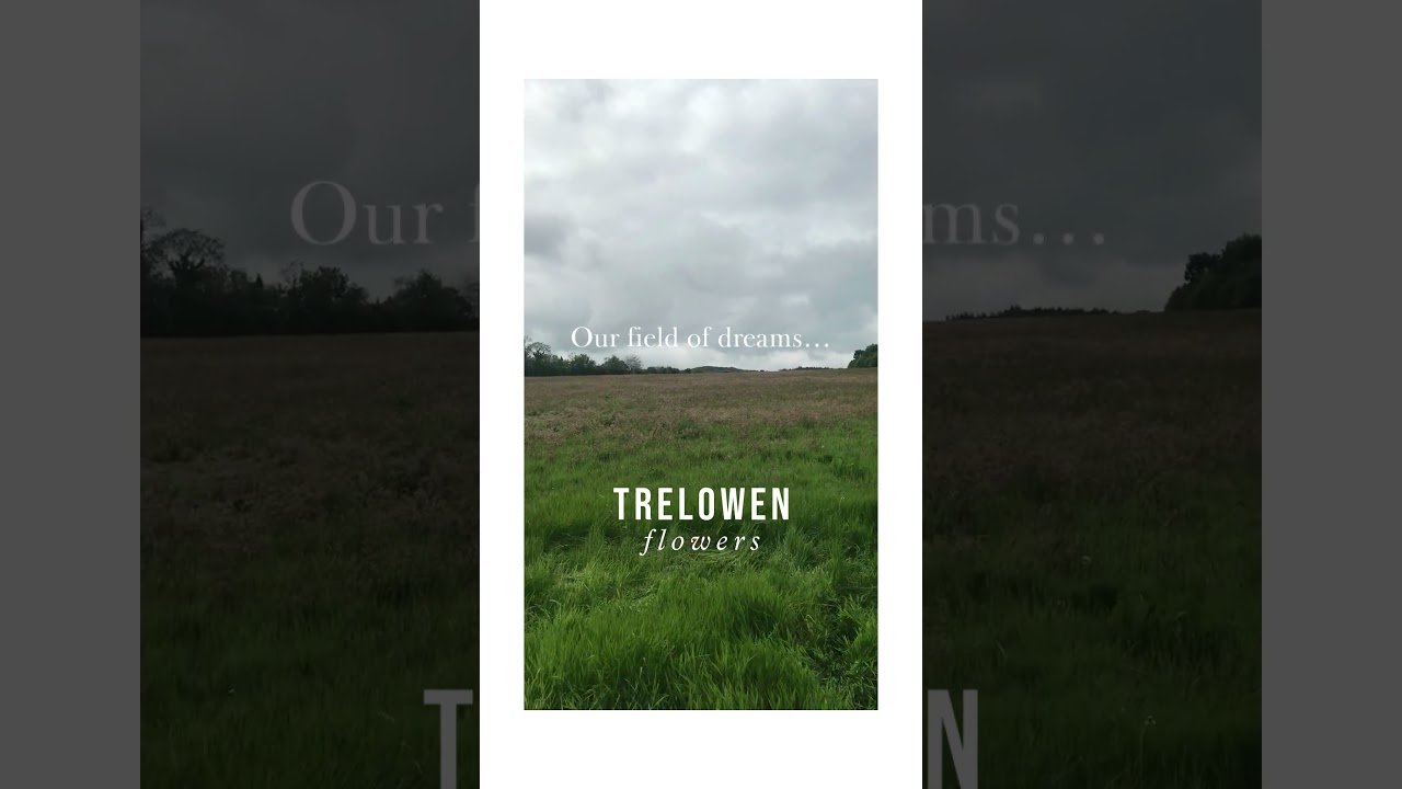 Trelowen Flowers founded 2024