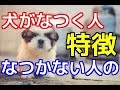 【愛犬のための知識】犬がなつく人、なつかない人の特徴【犬を知る】