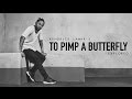 Kendrick Lamar's 'To Pimp a Butterfly', Explored