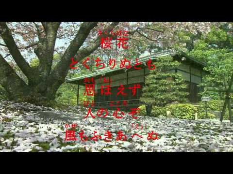 古今和歌集 / The Kokinshû. Spring Poems. Part II, 83 / Весенние песни. Сувий 2 (KKS II, 83)