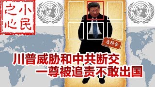 川普威胁和中共断交 一尊被追责不敢出国 2020.05.15.578