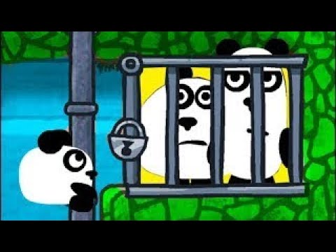 Три панды в Бразилии!