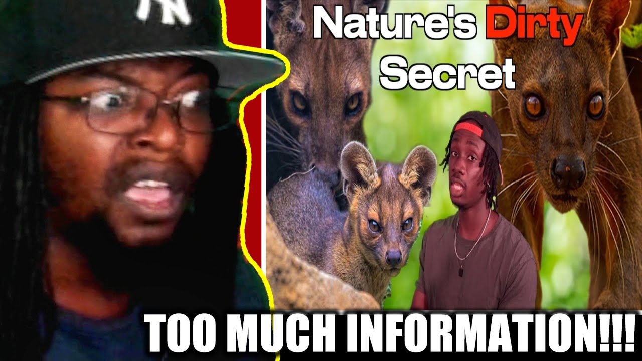 Why School Never Taught You About the Fossa [Casual Geographic] DB Reaction