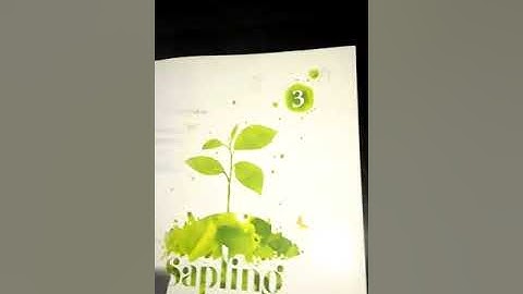 EVS Meeting Special People Part 3