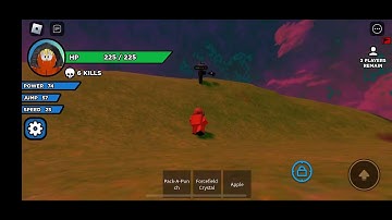 Slap royale hacker to discord this is a (report)