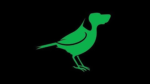 BirdDog P100 Official Update Process