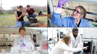 Details The future of polymers: biodegradable solutions to a global challenge Guide