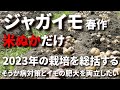 【ジャガイモ総集編】米ぬかだけで育てた2023年の春作を振り返り、今年の栽培計画に役立てたい-Vol.191(2023.02.06~2023.06.04)