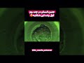 جنین انسان در روزهای اولیه چیزیه که هنوزم وقتی میبینمش شگفت زده میشم  جنین حاملگی معجزه