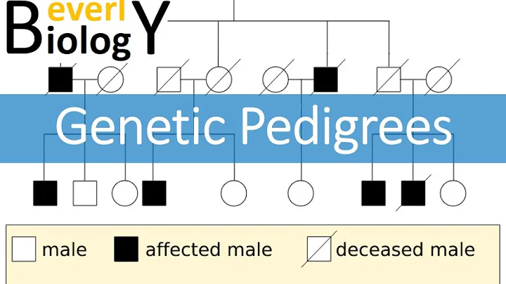 Genetic Pedigrees (updated)