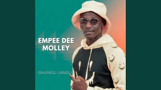 Ndizanile