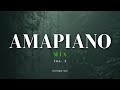 BEST Amapiano Mix Vol 3