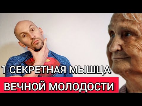 Видео: Где твое сосцевидное тело?