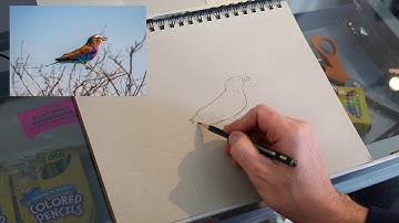 Sketchbook challenge 2019 - Exercise #3 Draw it twice - Tim Gagnon Studio