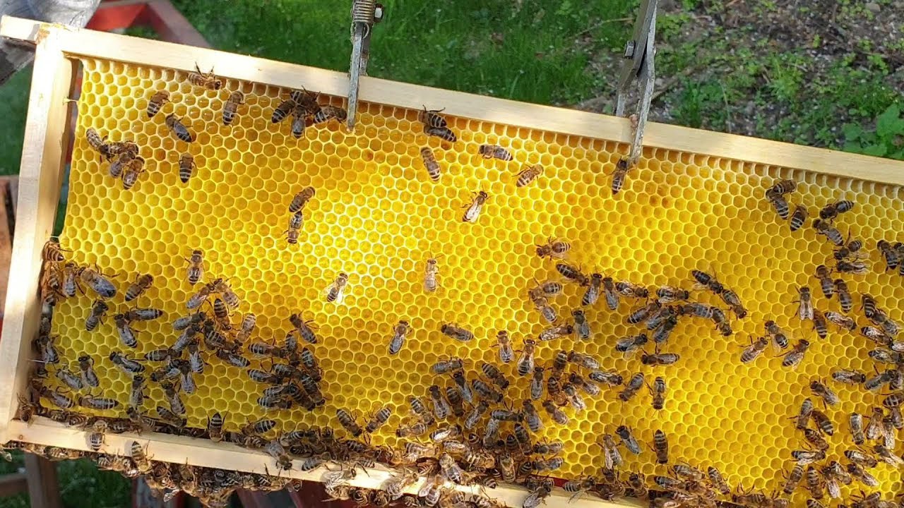 Přidávání mezistěn další 4ks (celkem 12ks + 2ks stavební  rám.) 27.dubna 2020