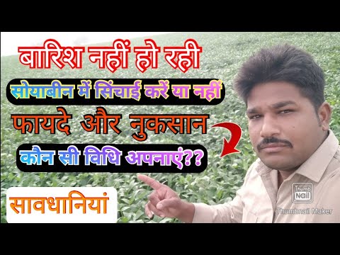 वीडियो: कब उपयोग करें इनमें से जो भी हो?